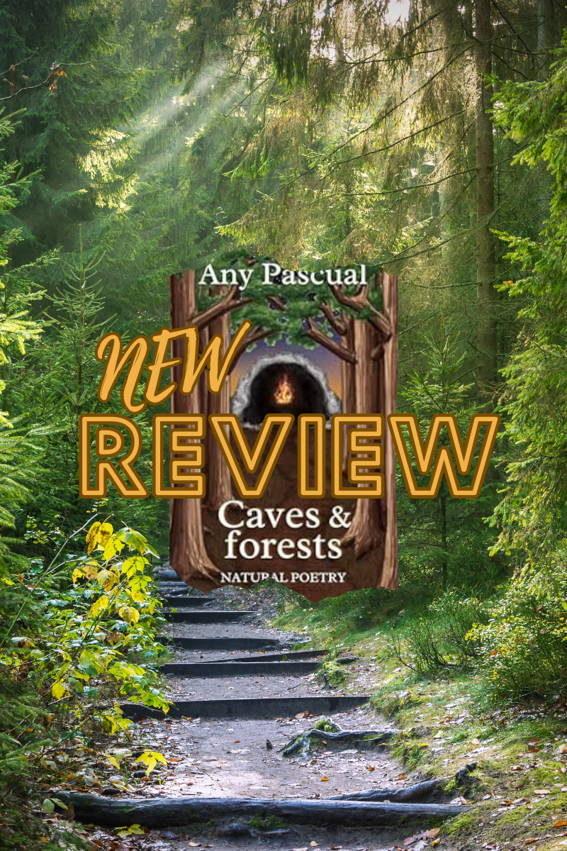 Exploring Caves and forests: Fragments of Brilliance